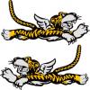 Flying Tigers decals